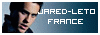 Un site dédié à Jared Leto